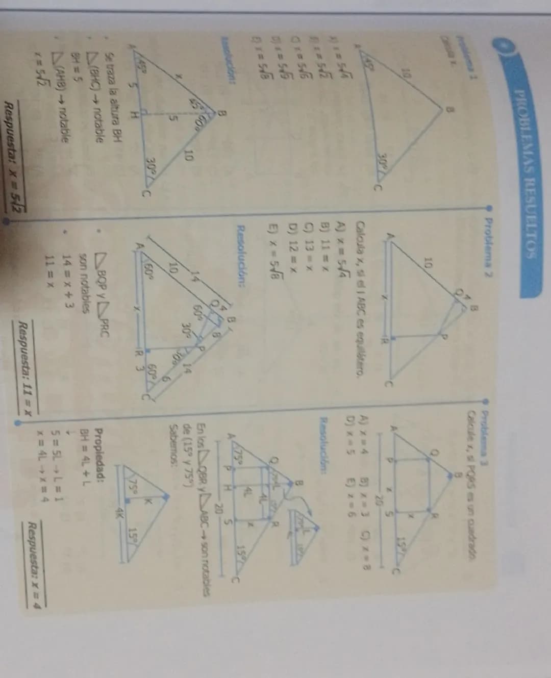 Segmentos, ángulos y triángulos
notables
DESARROLLO DEL TEMA
ANGULOS
P
Bisectriz
B
0
ανα
B
B
x
Q
X=45°
B
•
Co: complemento de
•
R
C=90-0
CC₁