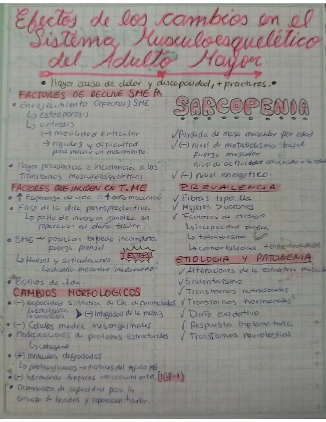 Sistema musculoesqueletico en adulto mayor 