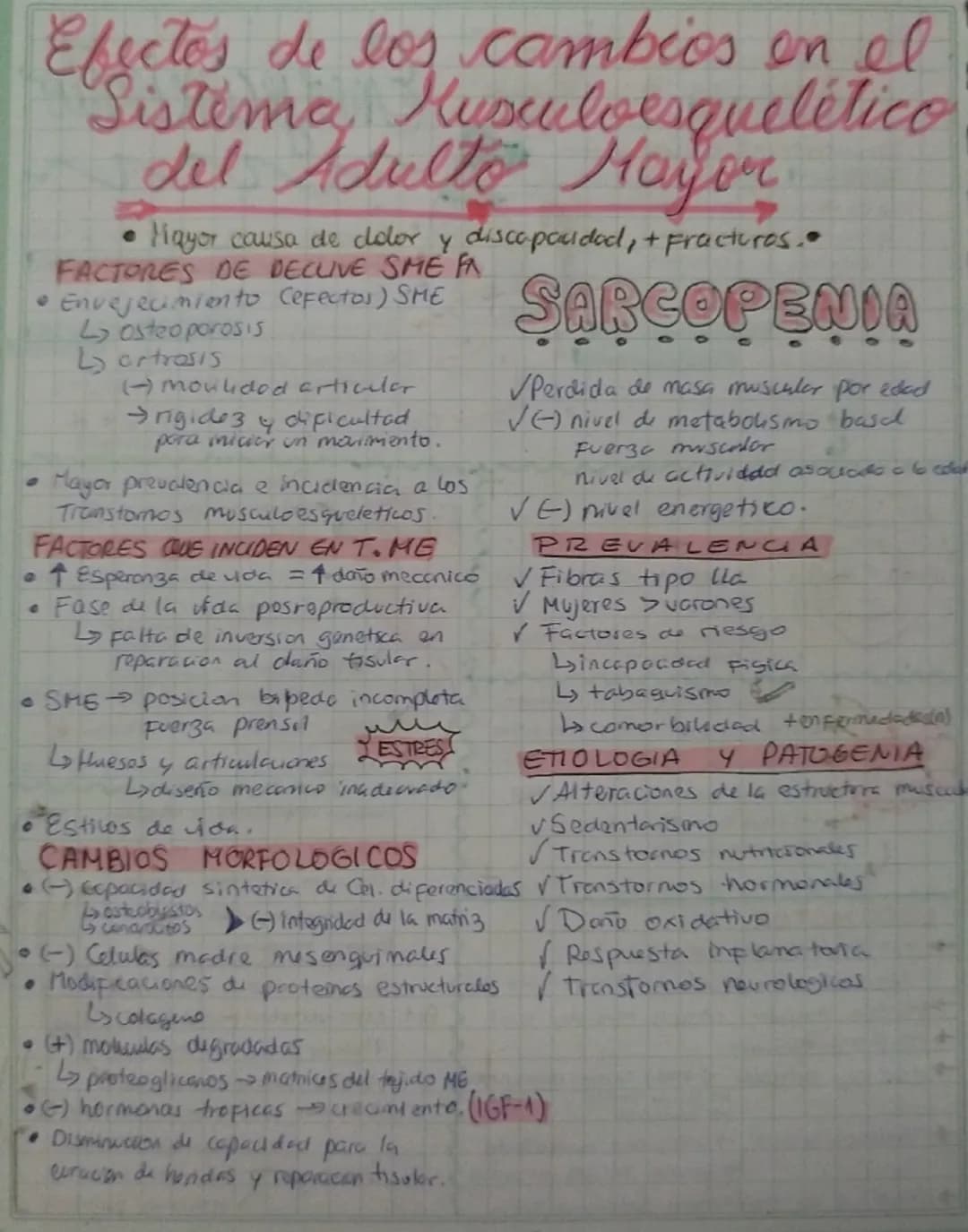 G
Efectos de los cambios en el
Sistema Kusculoesquelético
del Adulto Hayor
9
Hayor causa de dolor y discapacidad, + Fractures.•
FACTORES DE 