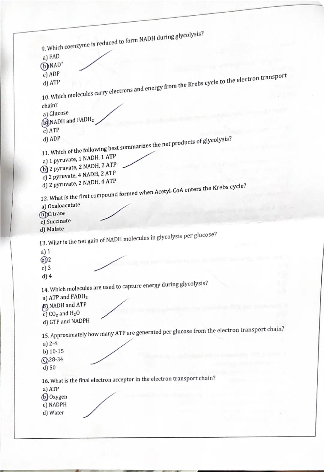 Science Quiz

Name: Camila Saavedra

1. What is the starting molecule in glycolysis?
a) Pyruvate
b) Glucose
c) ATP
d) NADH

2. Where does th