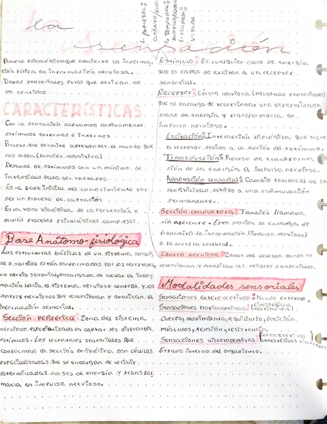 la
·PARIETAL
WUiDNEO/GUSTC
2. TEMPOREX
·AUDITIVA/OLETIV
Nd 129
VISUAL
Proceso psicológico.que convierte la informa, Estimulo: Es.cualquier c