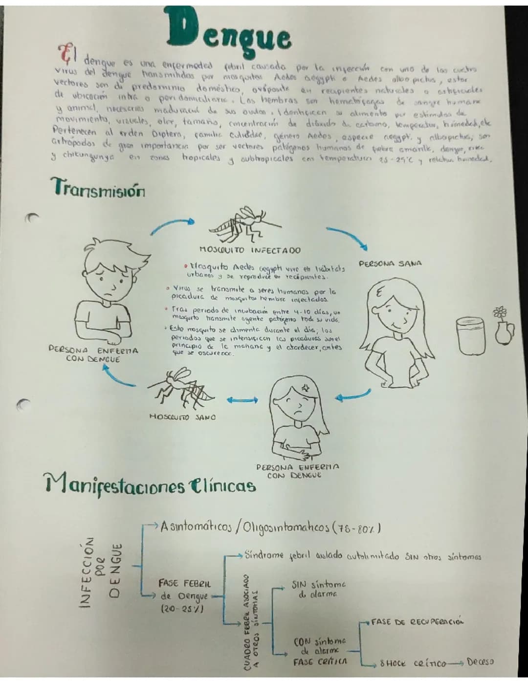 Dengue y zika 