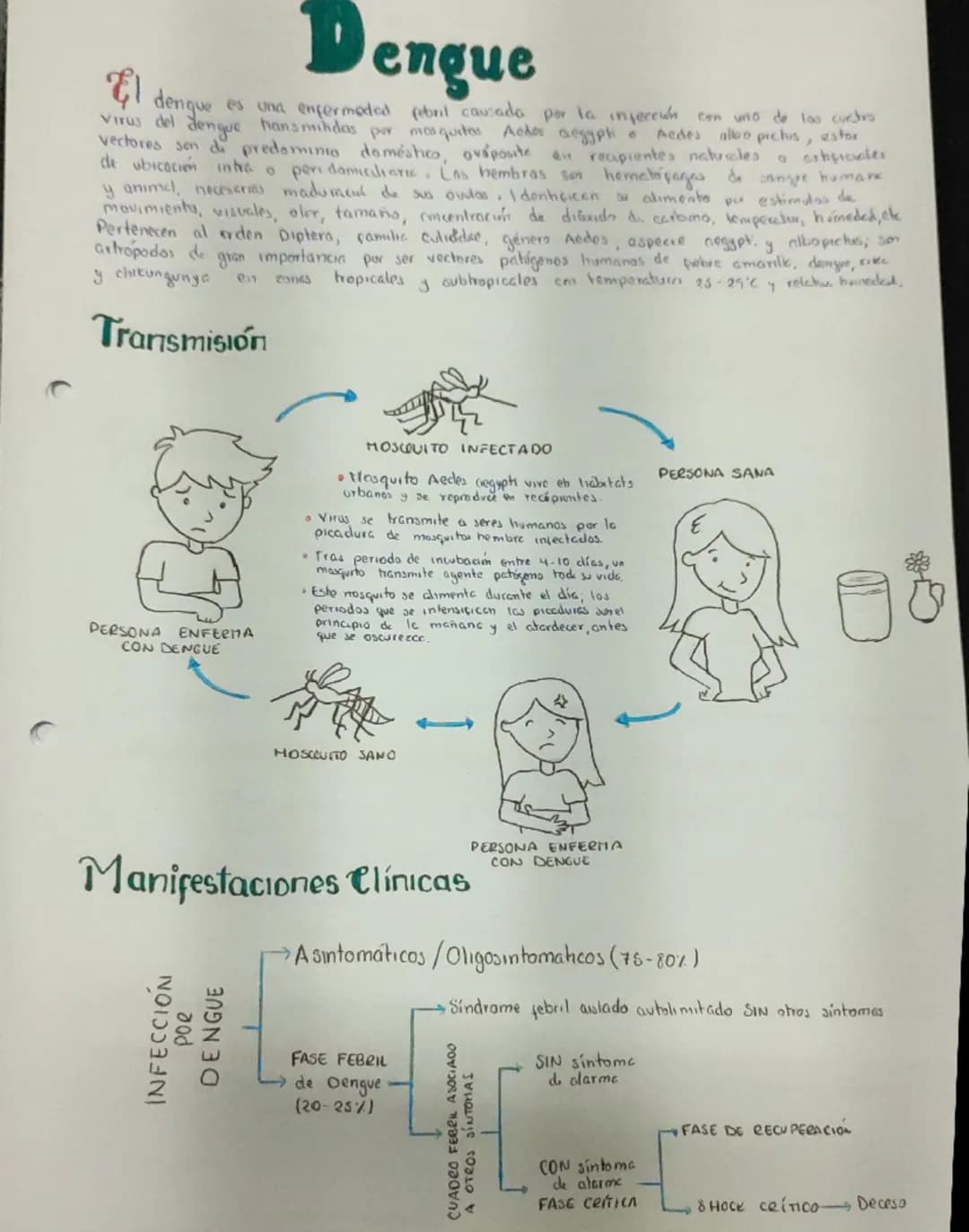 Dengue
dengue es una enfermedad febril causada por la infección con uno de los cuatro
Virus del dengue hansmitidas por mas quitas Aedes aegy
