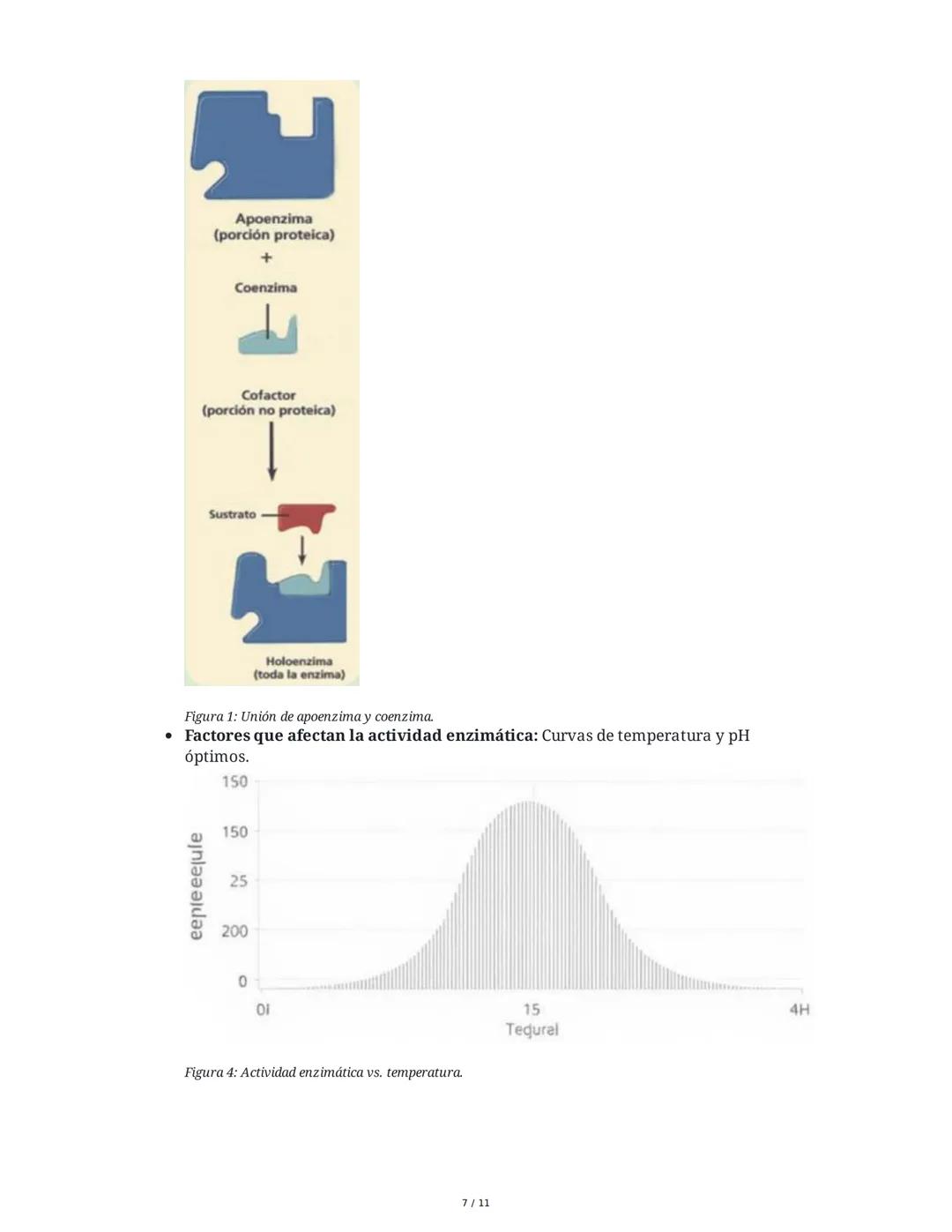 Enzimas: Catalizadores de la Vida
1. Introducción a las Enzimas
Las enzimas son proteínas fundamentales que actúan como catalizadores biológ
