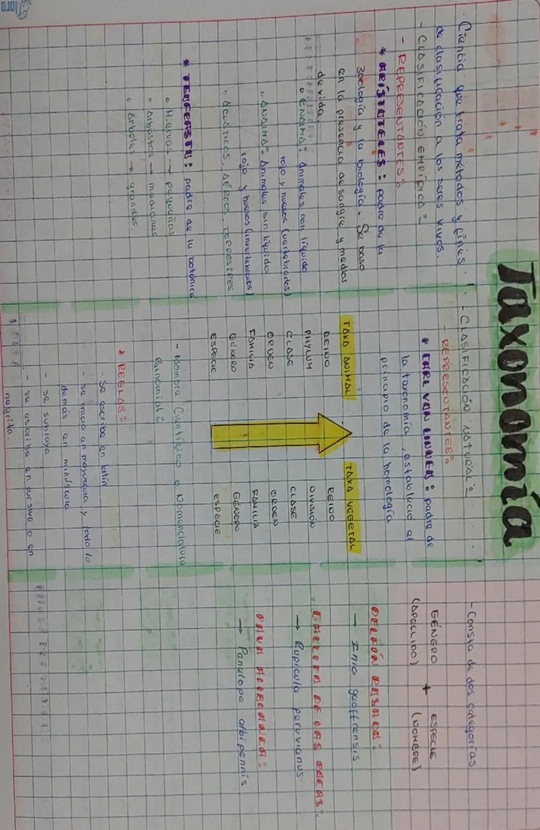 --- OCR Start ---
Taxonomía
Ciencia que trata métodos y fines - CLASIFICACIÓN NATURAL
de clası icación a los seres vivos.
REPRESENTANTES
*EG