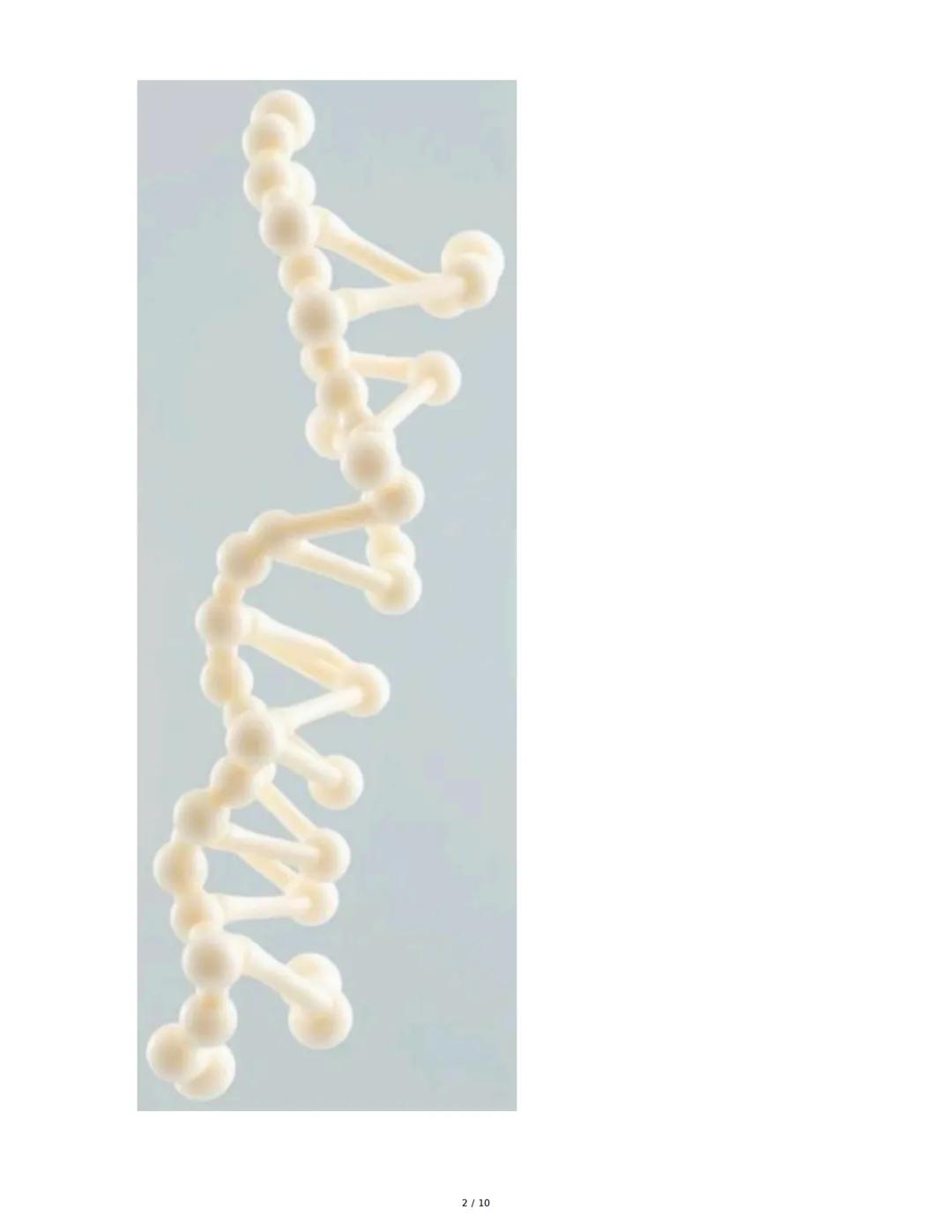 Proteínas: Los Ladrillos de la Vida
Las proteínas son biomoléculas esenciales compuestas por aminoácidos, fundamentales
para la vida y la sa