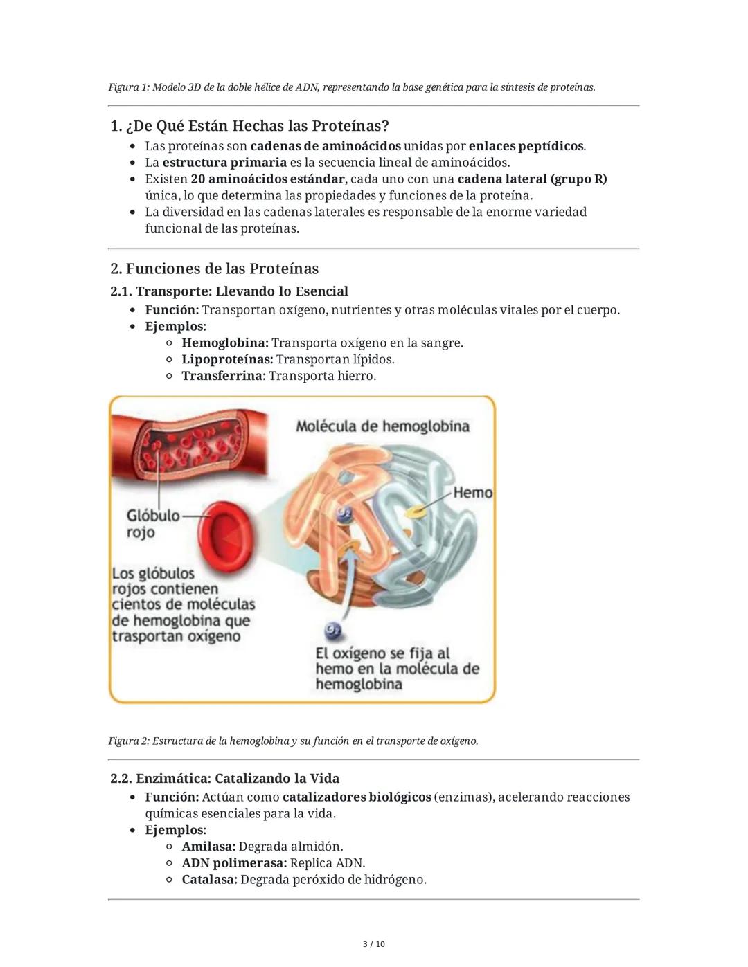 Proteínas: Los Ladrillos de la Vida
Las proteínas son biomoléculas esenciales compuestas por aminoácidos, fundamentales
para la vida y la sa