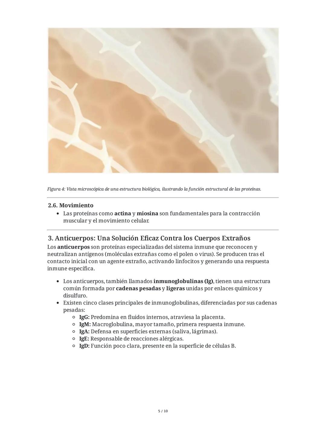 Proteínas: Los Ladrillos de la Vida
Las proteínas son biomoléculas esenciales compuestas por aminoácidos, fundamentales
para la vida y la sa