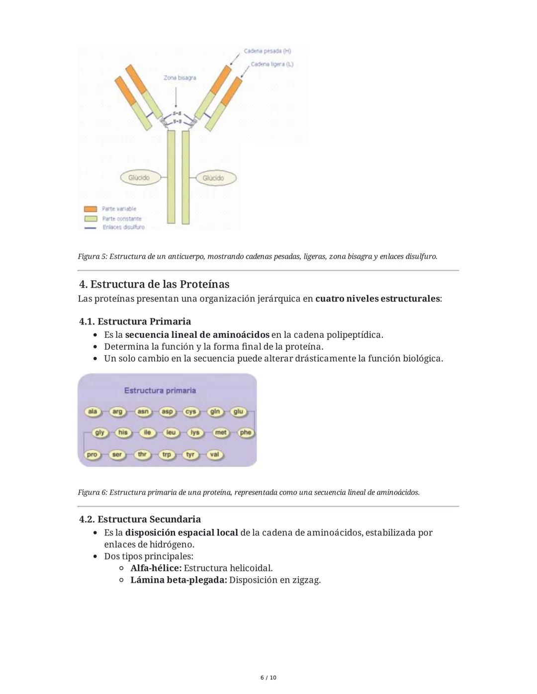 Proteínas: Los Ladrillos de la Vida
Las proteínas son biomoléculas esenciales compuestas por aminoácidos, fundamentales
para la vida y la sa