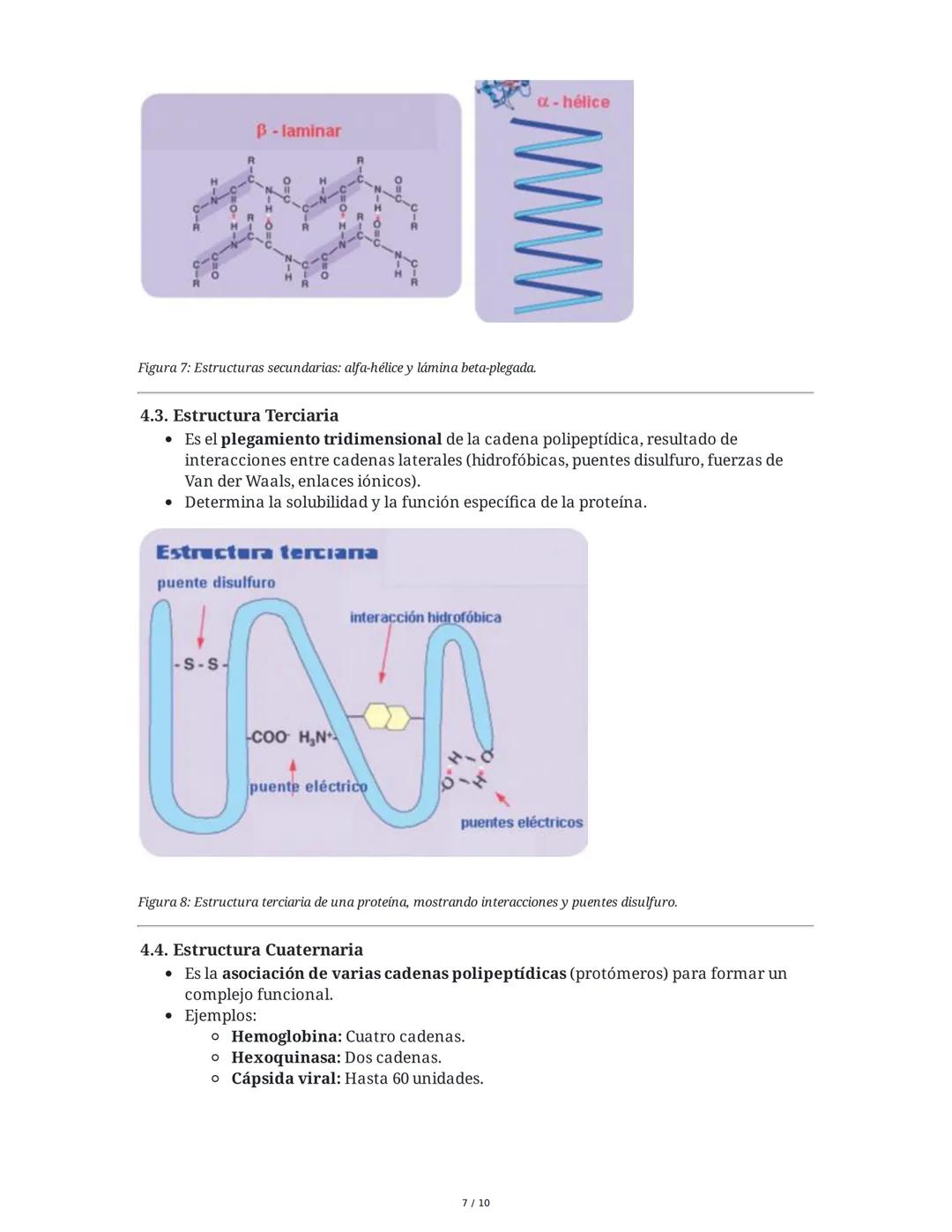 Proteínas: Los Ladrillos de la Vida
Las proteínas son biomoléculas esenciales compuestas por aminoácidos, fundamentales
para la vida y la sa