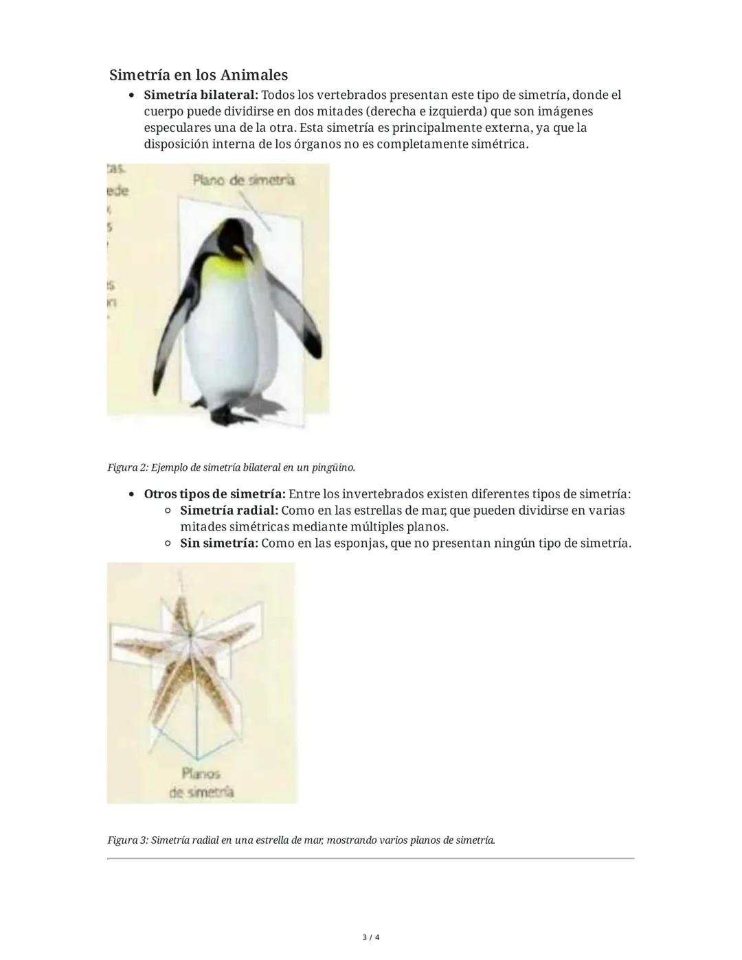 Introducción al Reino Animalia
El reino Animalia abarca una inmensa variedad de especies, tanto vertebrados como
invertebrados, que han colo