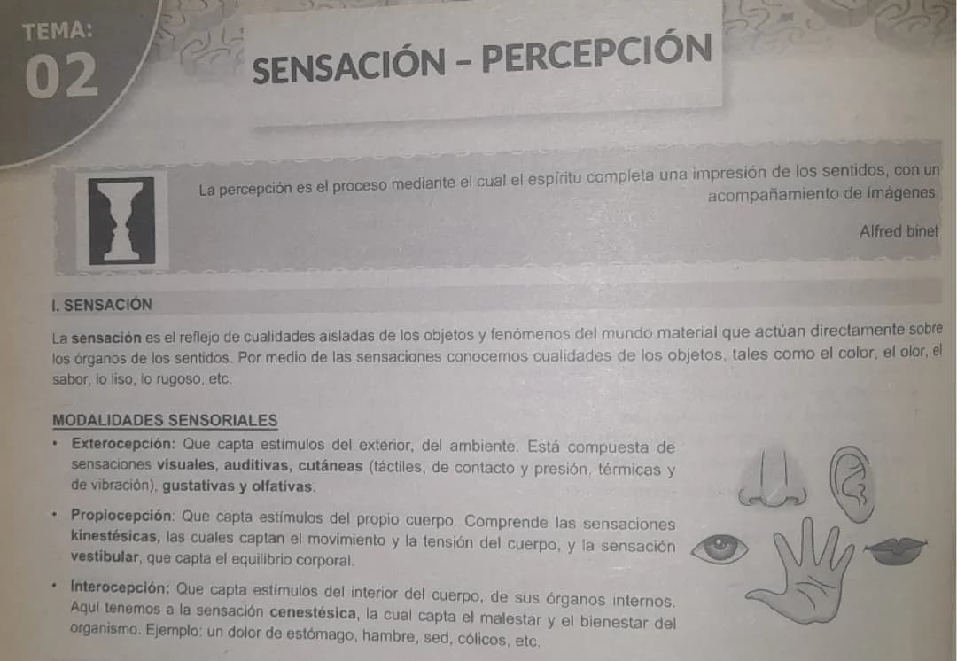 SENSACIÓN-PERCEPCIÓN