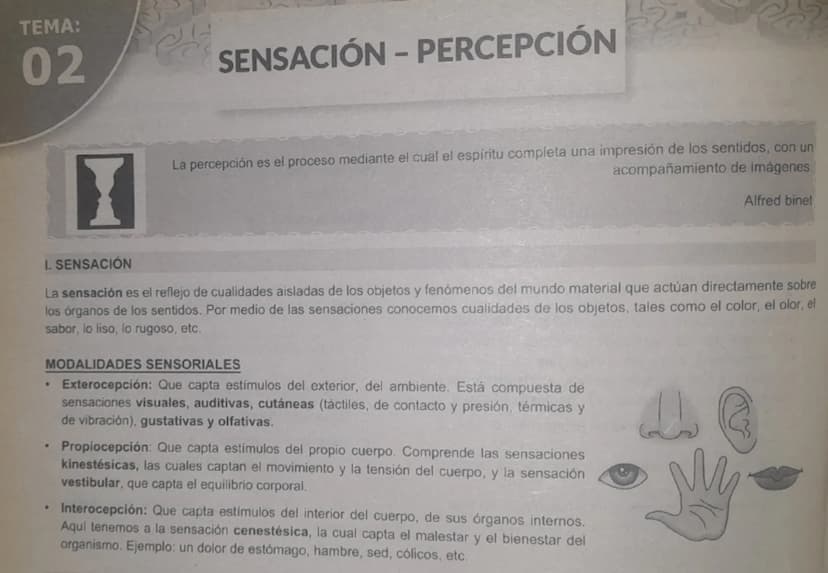 --- OCR Start ---
TEMA:
02
SENSACIÓN - PERCEPCIÓN
La percepción es el proceso mediante el cual el espíritu completa una impresión de los sen