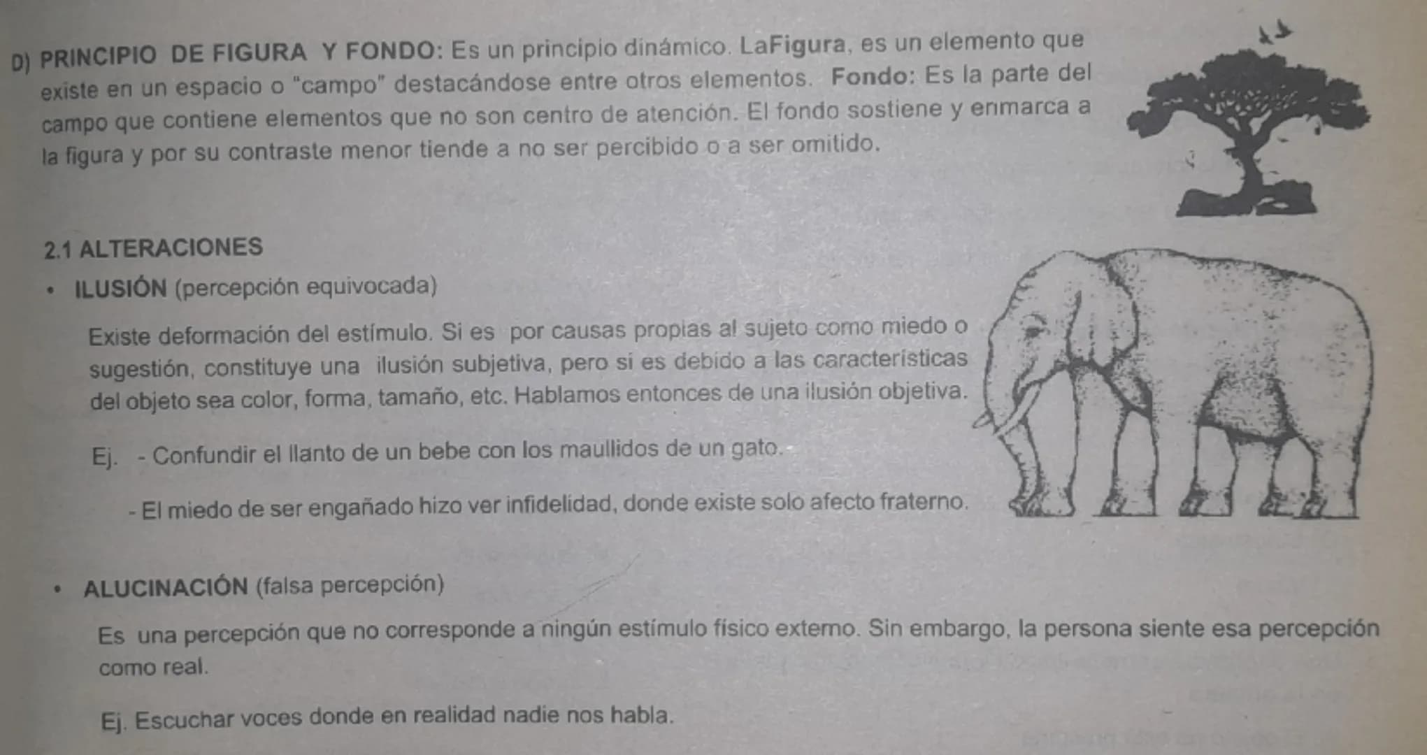 --- OCR Start ---
TEMA:
02
SENSACIÓN - PERCEPCIÓN
La percepción es el proceso mediante el cual el espíritu completa una impresión de los sen
