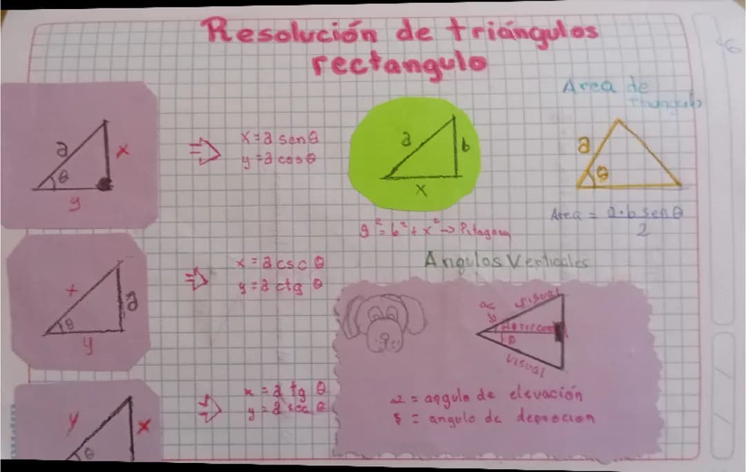 Resolución de triángulo rectángulo