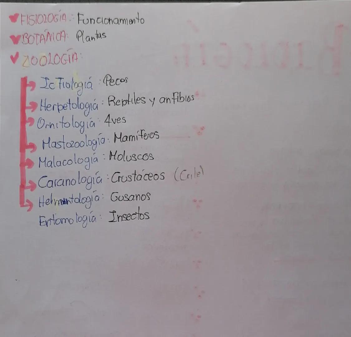 # Biología
Semana 1

# Biología =

- Etimología: Bios> Vida, Logos> estudia
- Antecedentes

- Padre de la biología antigua
  - Aristóteles: 