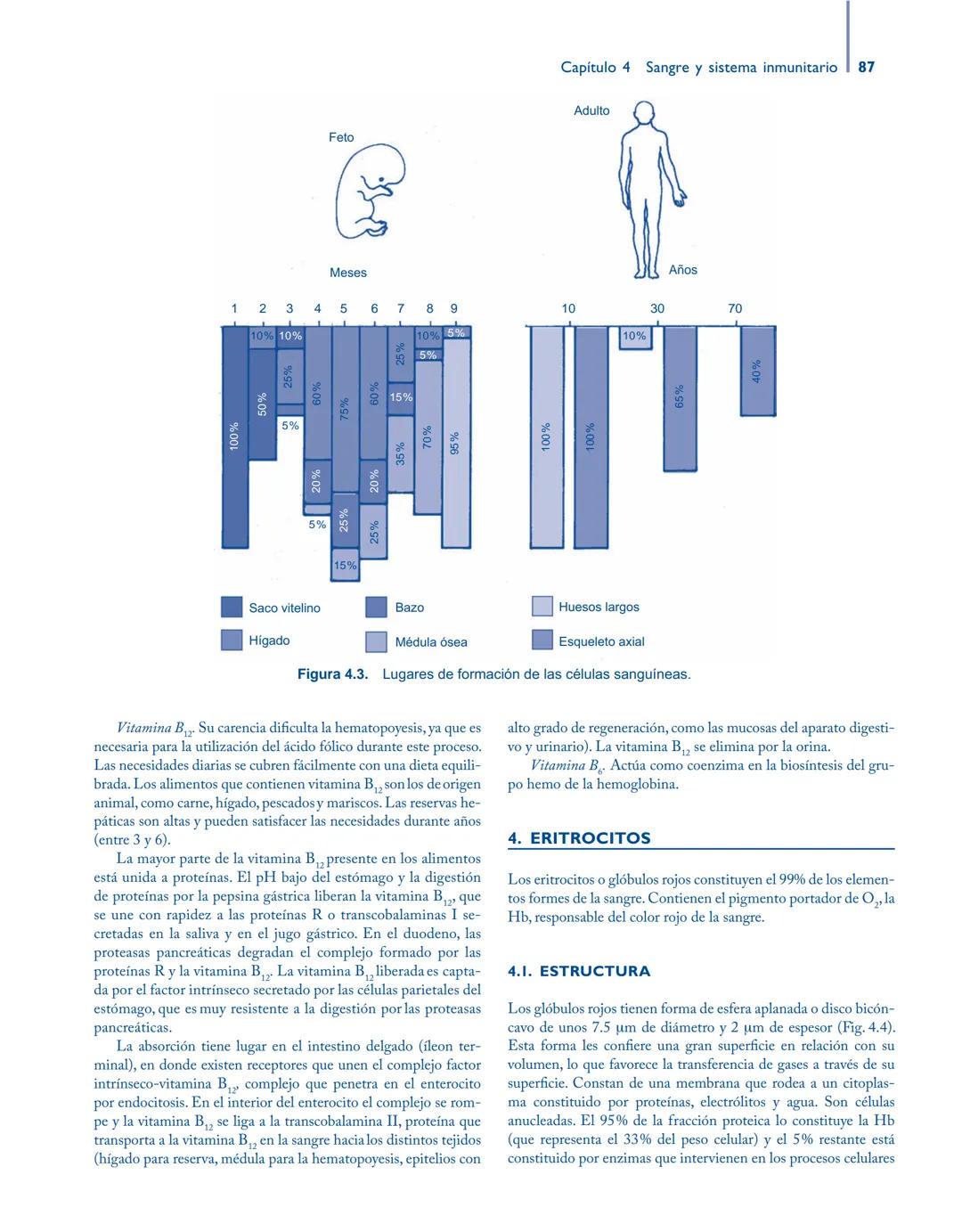 # Anatomía y fisiología del

## ■ CUERPO HUMANO

Jesús A. F. Tresguerres

Mª Ángeles Villanúa Bernués

Asunción López-Calderón Barreda

Mc
G