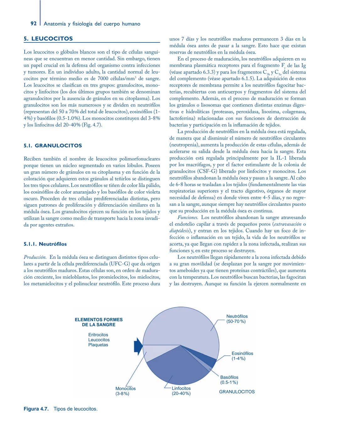 # Anatomía y fisiología del

## ■ CUERPO HUMANO

Jesús A. F. Tresguerres

Mª Ángeles Villanúa Bernués

Asunción López-Calderón Barreda

Mc
G