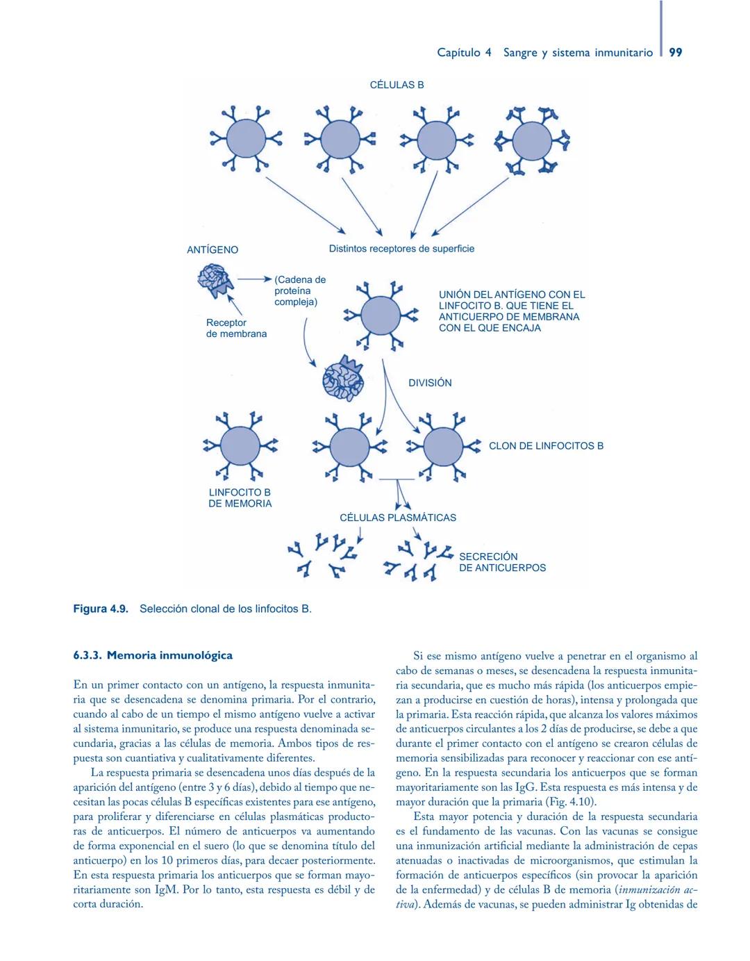# Anatomía y fisiología del

## ■ CUERPO HUMANO

Jesús A. F. Tresguerres

Mª Ángeles Villanúa Bernués

Asunción López-Calderón Barreda

Mc
G