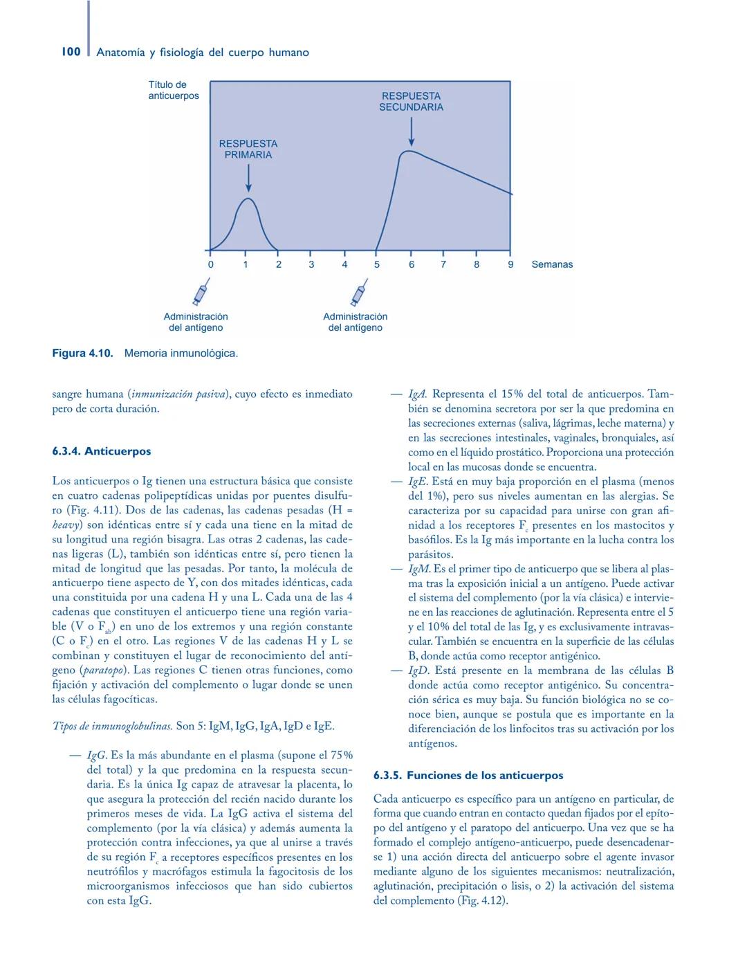 # Anatomía y fisiología del

## ■ CUERPO HUMANO

Jesús A. F. Tresguerres

Mª Ángeles Villanúa Bernués

Asunción López-Calderón Barreda

Mc
G
