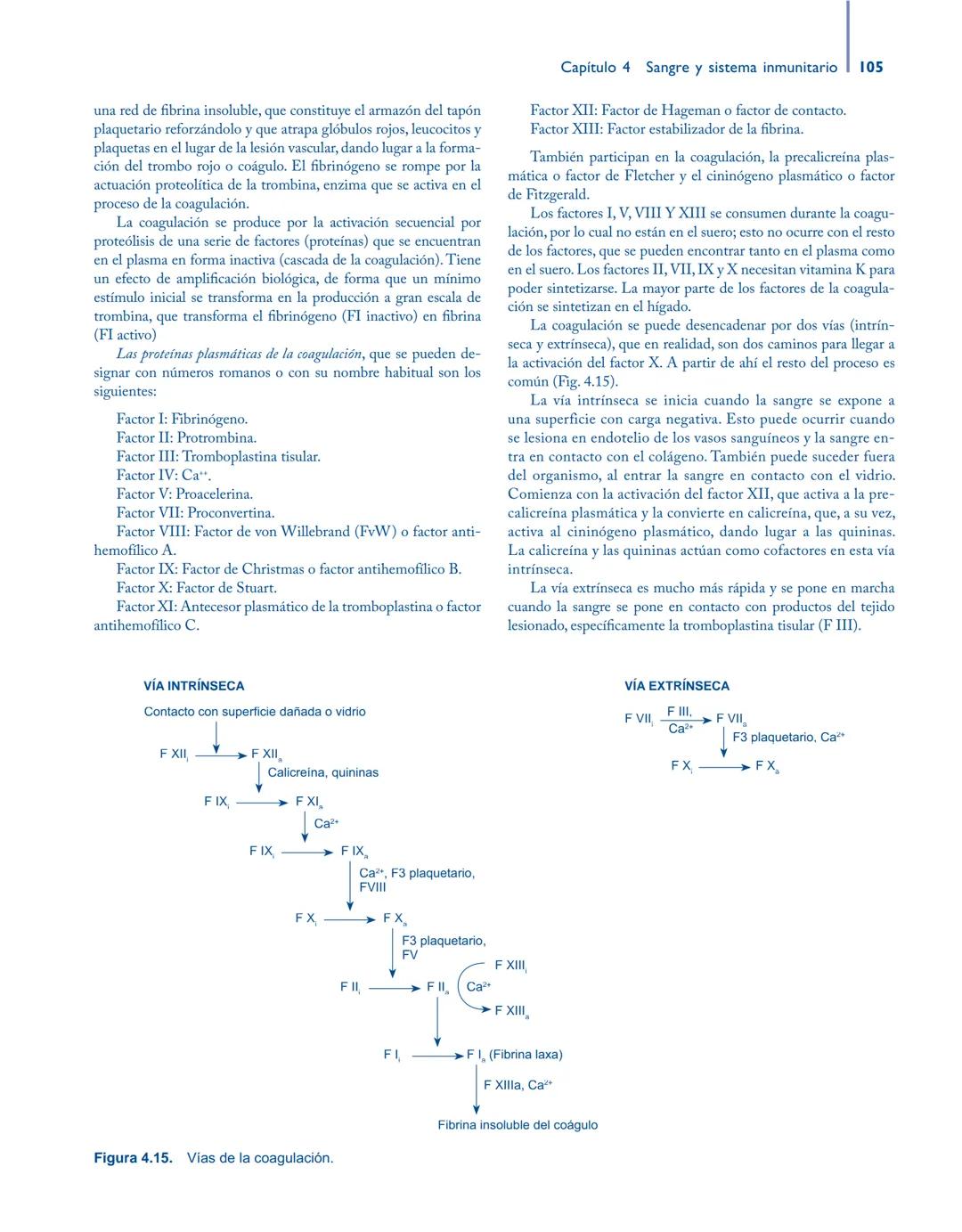 # Anatomía y fisiología del

## ■ CUERPO HUMANO

Jesús A. F. Tresguerres

Mª Ángeles Villanúa Bernués

Asunción López-Calderón Barreda

Mc
G