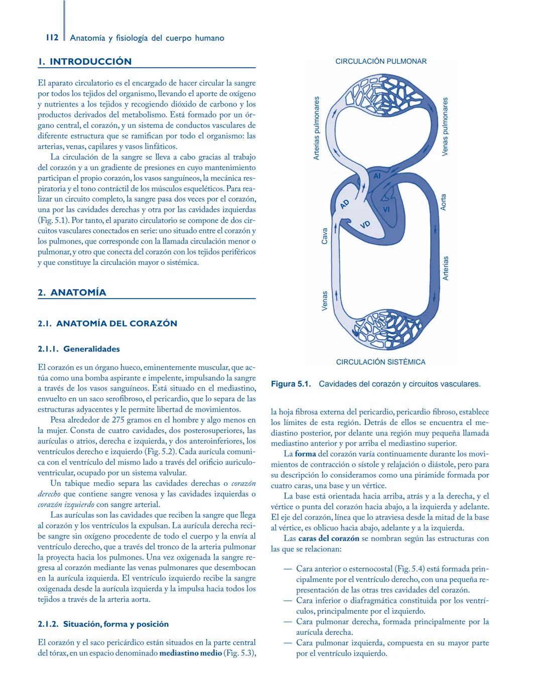 # Anatomía y fisiología del

## ■ CUERPO HUMANO

Jesús A. F. Tresguerres

Mª Ángeles Villanúa Bernués

Asunción López-Calderón Barreda

Mc
G
