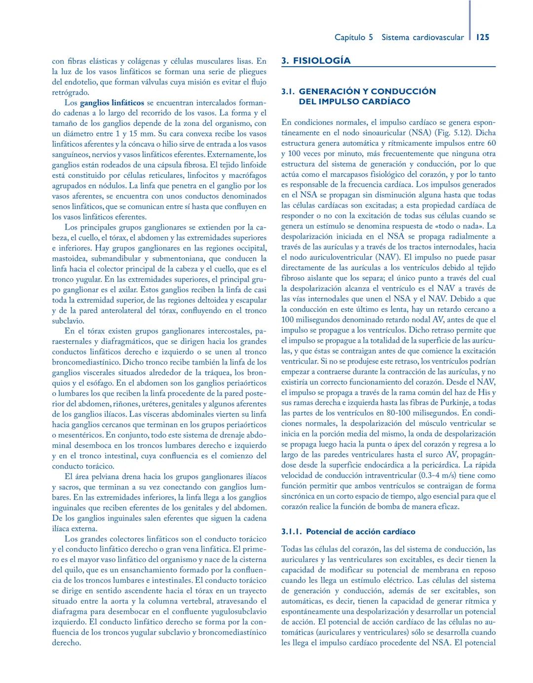 # Anatomía y fisiología del

## ■ CUERPO HUMANO

Jesús A. F. Tresguerres

Mª Ángeles Villanúa Bernués

Asunción López-Calderón Barreda

Mc
G