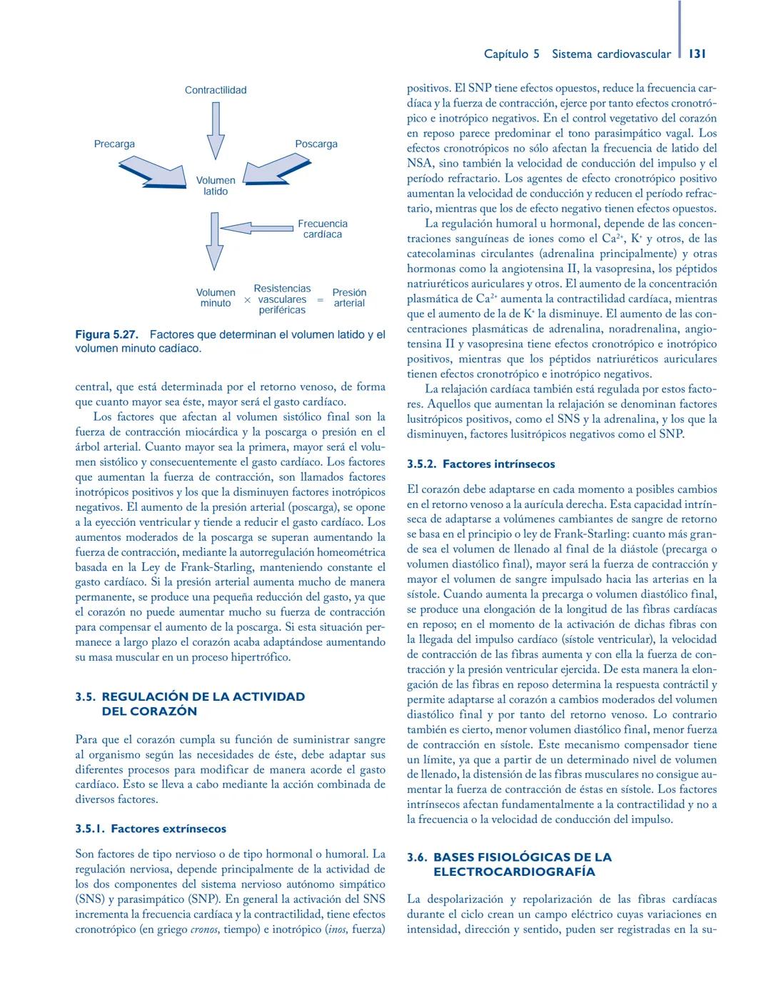 # Anatomía y fisiología del

## ■ CUERPO HUMANO

Jesús A. F. Tresguerres

Mª Ángeles Villanúa Bernués

Asunción López-Calderón Barreda

Mc
G