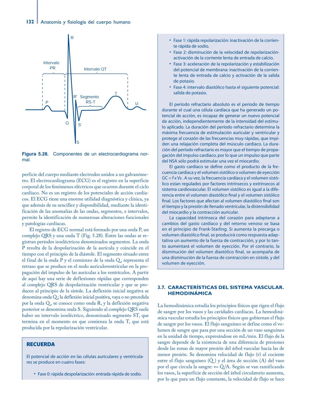 # Anatomía y fisiología del

## ■ CUERPO HUMANO

Jesús A. F. Tresguerres

Mª Ángeles Villanúa Bernués

Asunción López-Calderón Barreda

Mc
G
