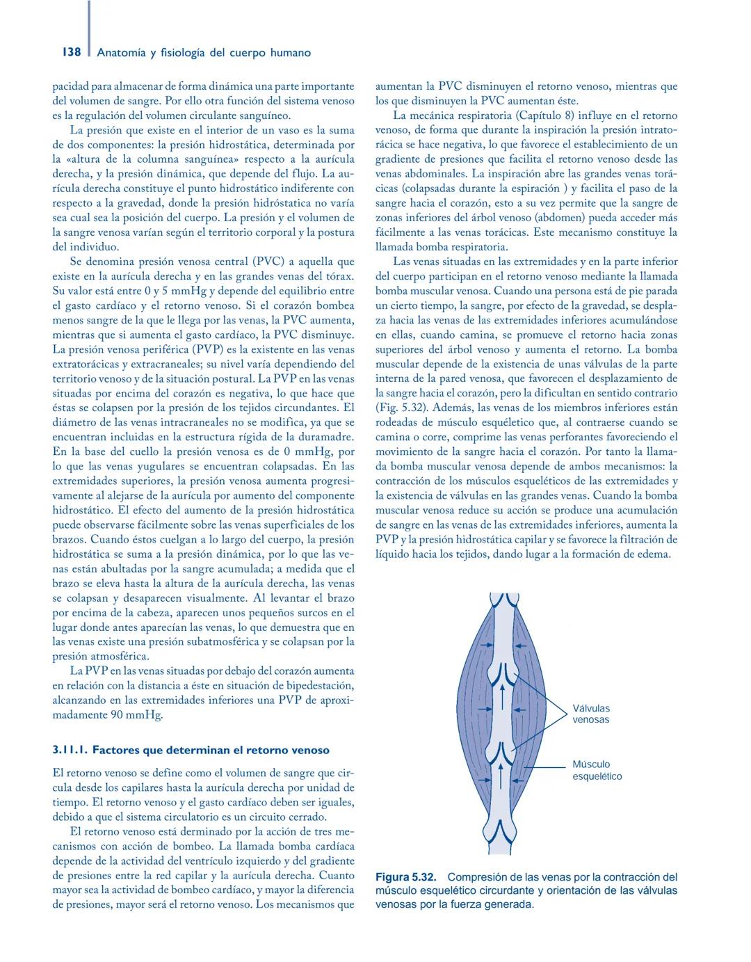 # Anatomía y fisiología del

## ■ CUERPO HUMANO

Jesús A. F. Tresguerres

Mª Ángeles Villanúa Bernués

Asunción López-Calderón Barreda

Mc
G
