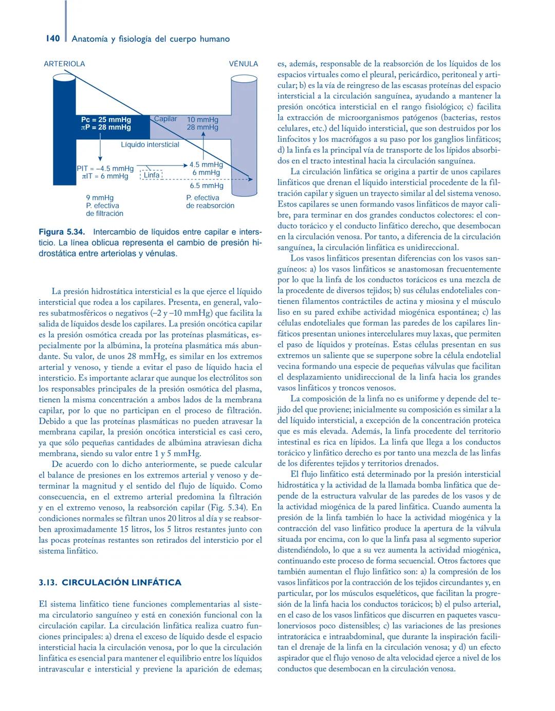 # Anatomía y fisiología del

## ■ CUERPO HUMANO

Jesús A. F. Tresguerres

Mª Ángeles Villanúa Bernués

Asunción López-Calderón Barreda

Mc
G
