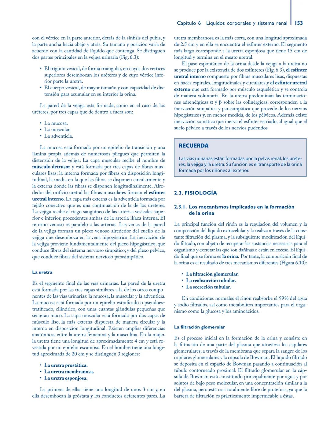 # Anatomía y fisiología del

## ■ CUERPO HUMANO

Jesús A. F. Tresguerres

Mª Ángeles Villanúa Bernués

Asunción López-Calderón Barreda

Mc
G
