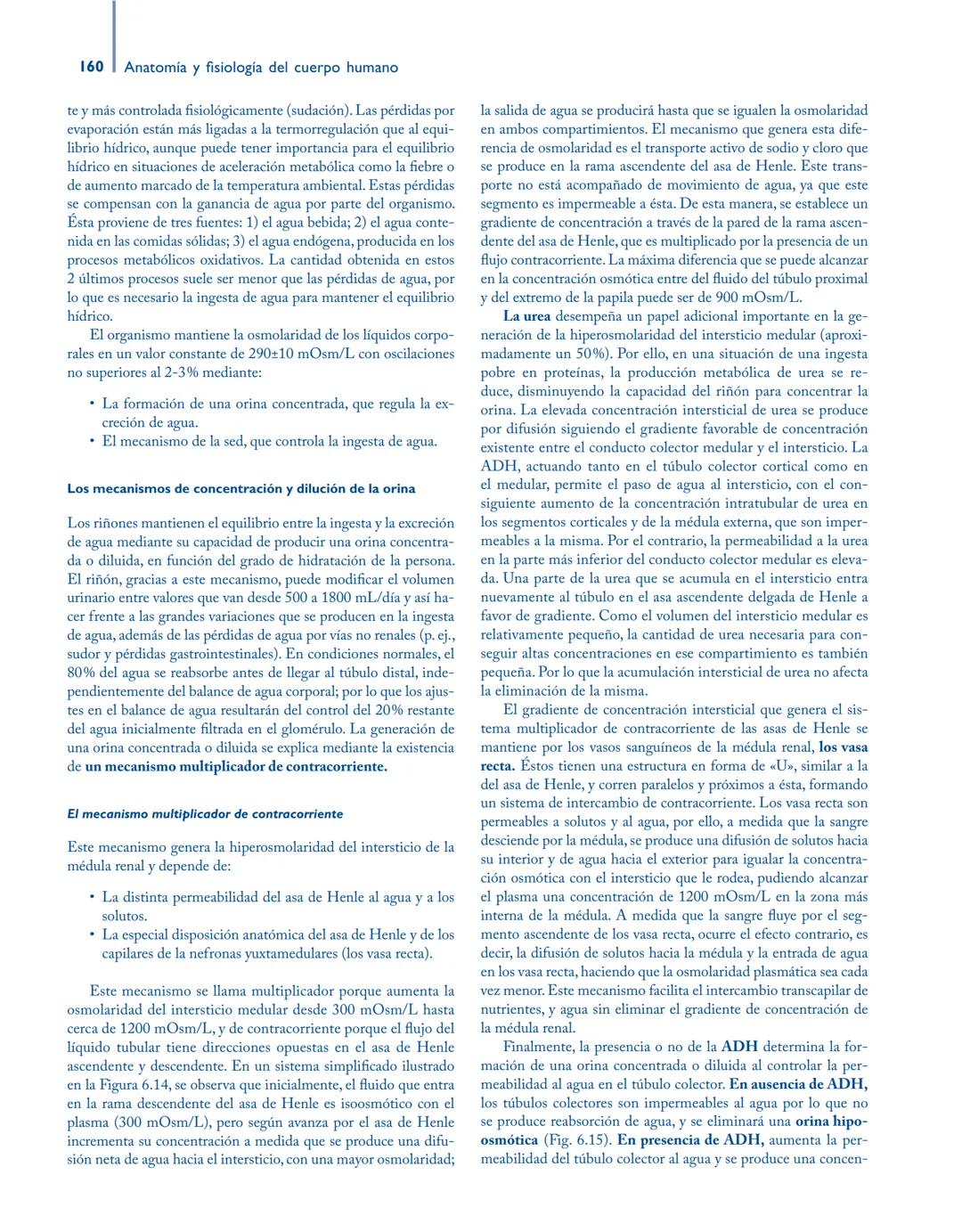 # Anatomía y fisiología del

## ■ CUERPO HUMANO

Jesús A. F. Tresguerres

Mª Ángeles Villanúa Bernués

Asunción López-Calderón Barreda

Mc
G