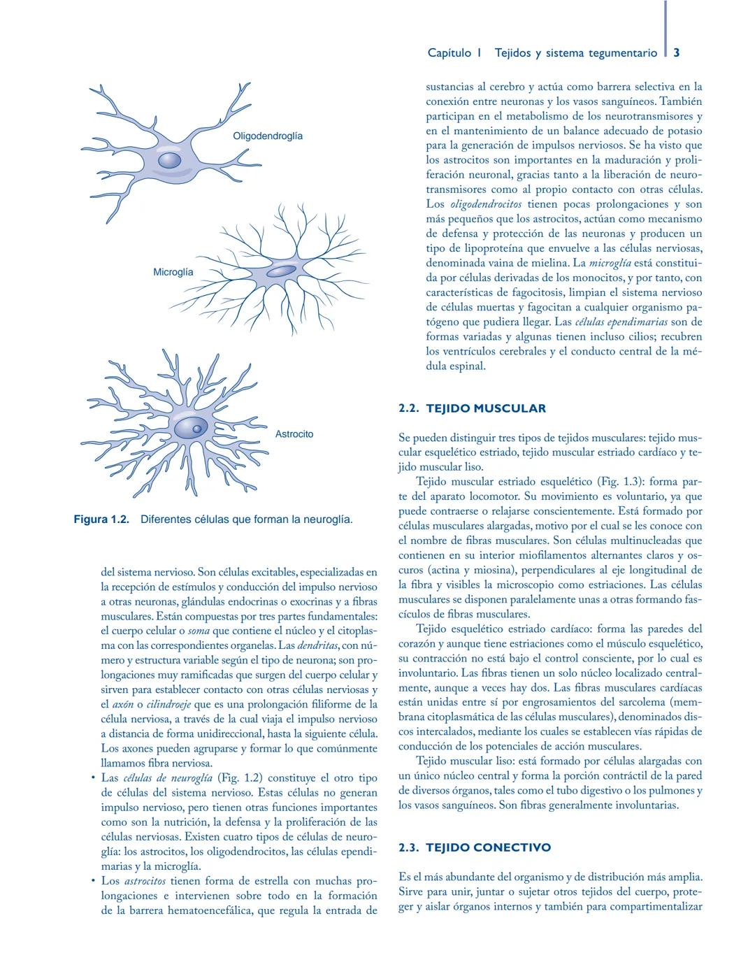 # Anatomía y fisiología del

## ■ CUERPO HUMANO

Jesús A. F. Tresguerres

Mª Ángeles Villanúa Bernués

Asunción López-Calderón Barreda

Mc
G