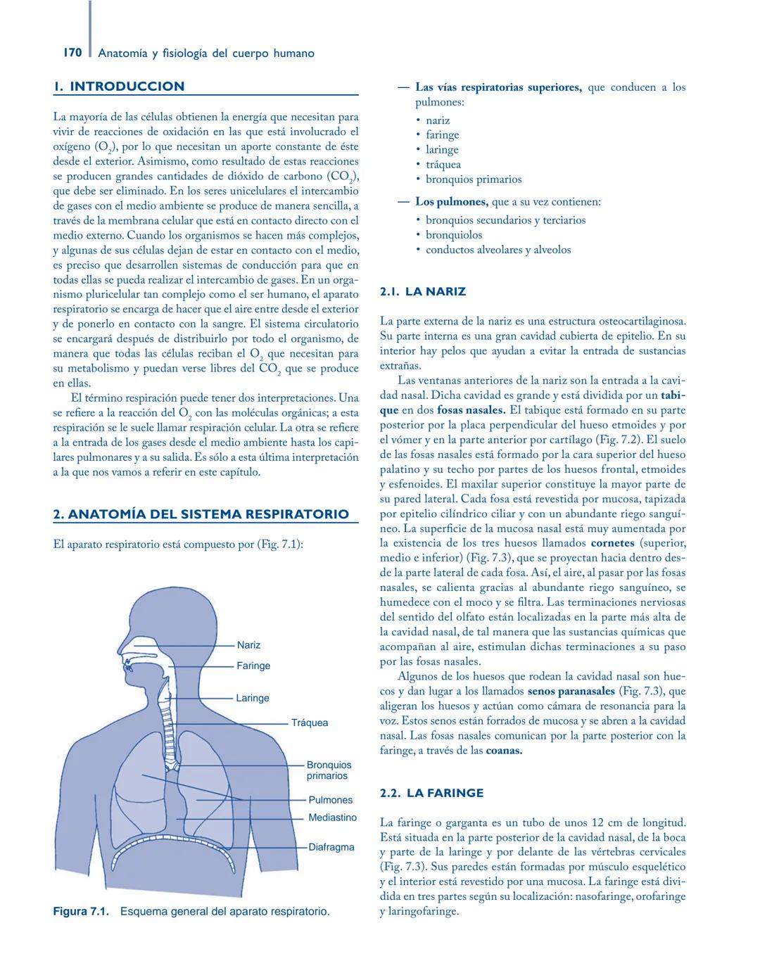# Anatomía y fisiología del

## ■ CUERPO HUMANO

Jesús A. F. Tresguerres

Mª Ángeles Villanúa Bernués

Asunción López-Calderón Barreda

Mc
G
