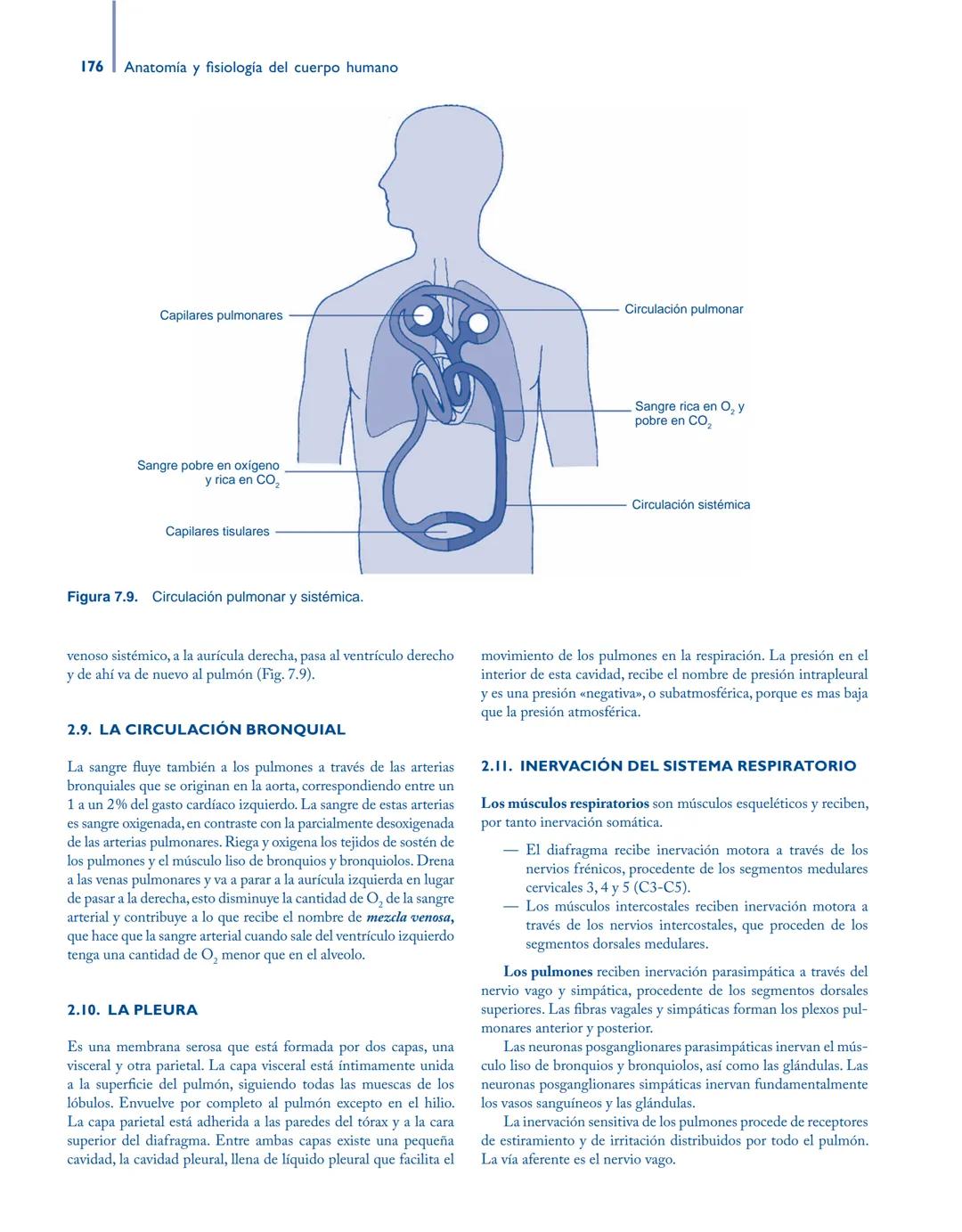 # Anatomía y fisiología del

## ■ CUERPO HUMANO

Jesús A. F. Tresguerres

Mª Ángeles Villanúa Bernués

Asunción López-Calderón Barreda

Mc
G