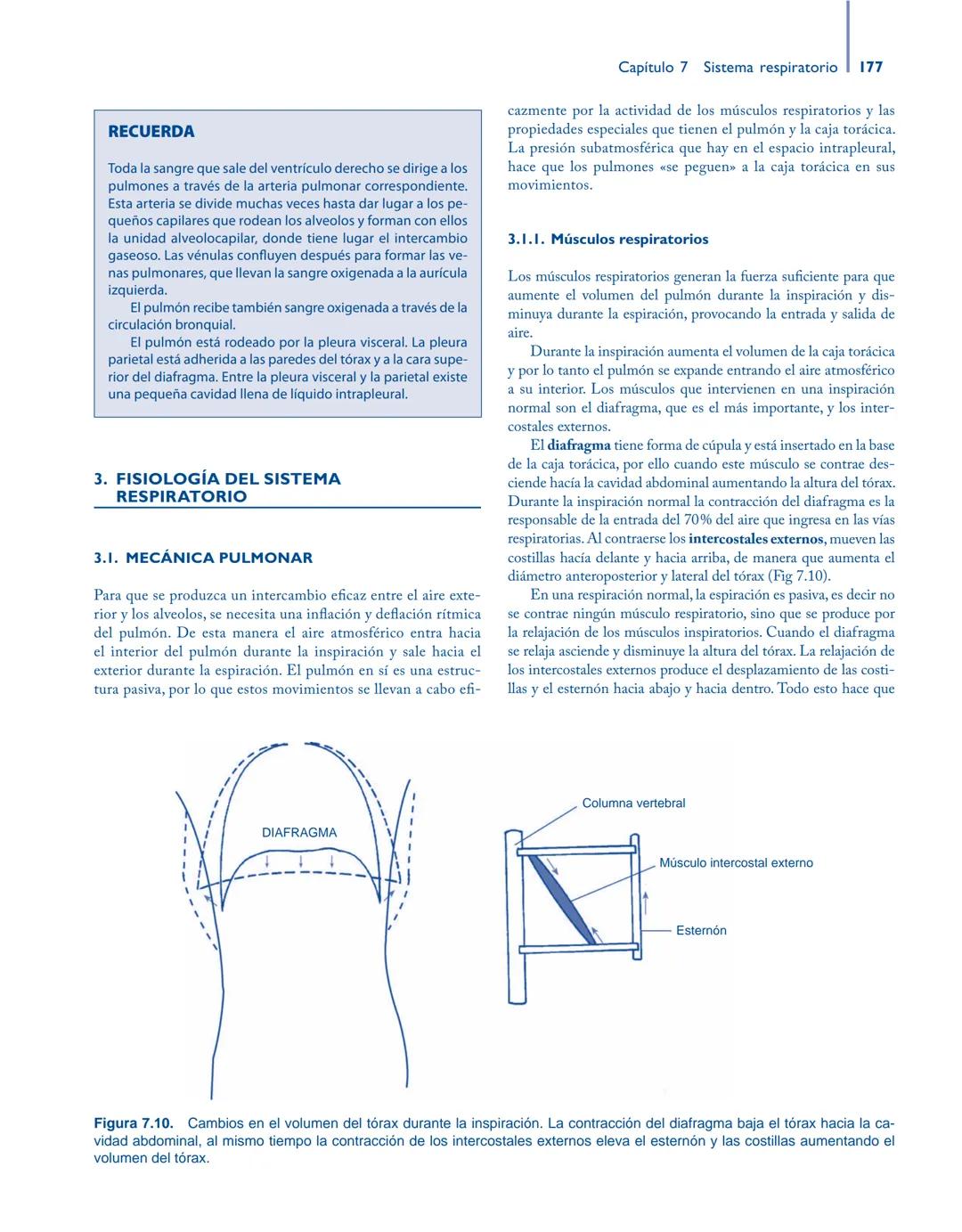 # Anatomía y fisiología del

## ■ CUERPO HUMANO

Jesús A. F. Tresguerres

Mª Ángeles Villanúa Bernués

Asunción López-Calderón Barreda

Mc
G