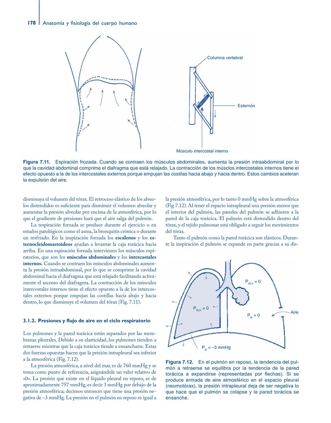 # Anatomía y fisiología del

## ■ CUERPO HUMANO

Jesús A. F. Tresguerres

Mª Ángeles Villanúa Bernués

Asunción López-Calderón Barreda

Mc
G