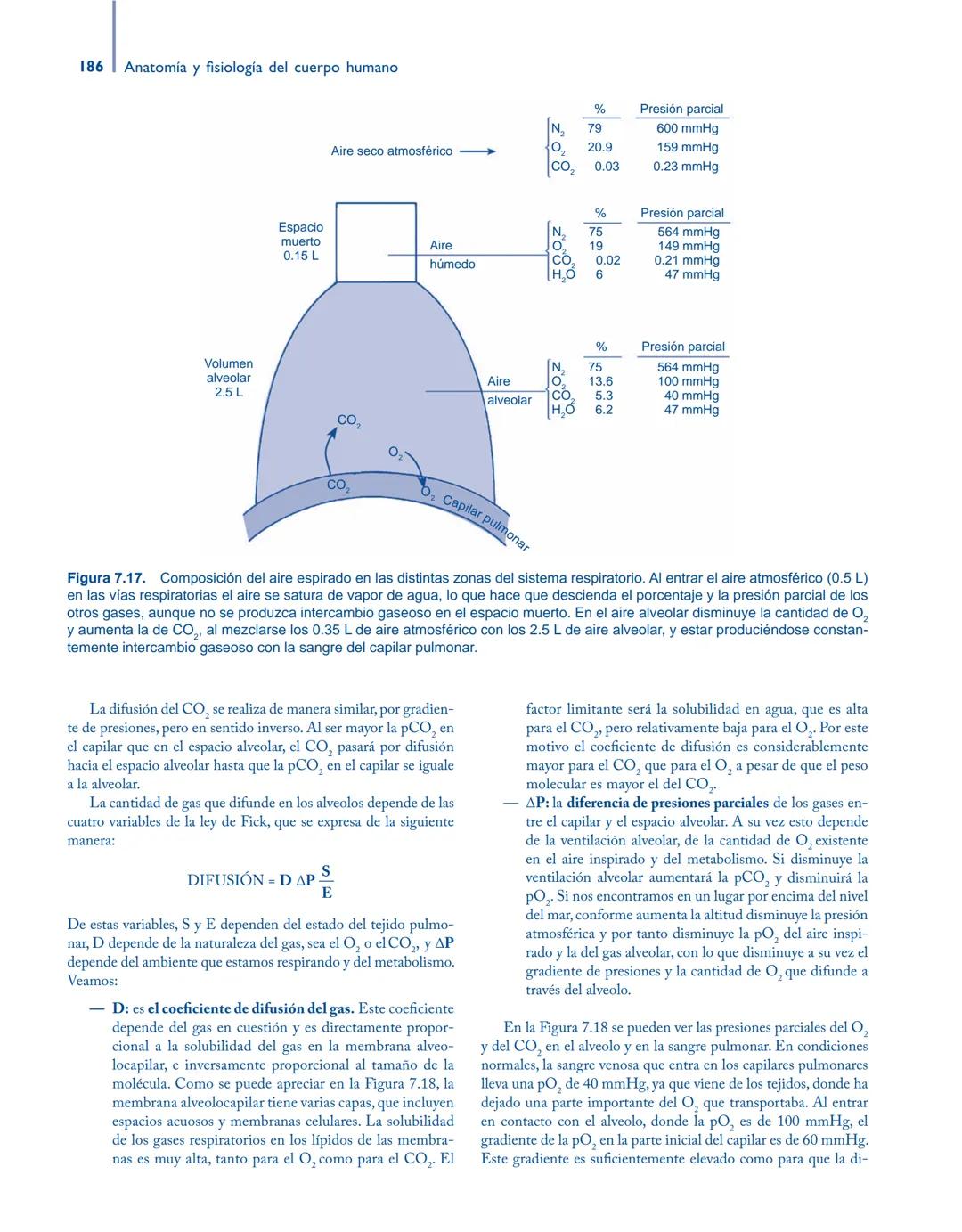 # Anatomía y fisiología del

## ■ CUERPO HUMANO

Jesús A. F. Tresguerres

Mª Ángeles Villanúa Bernués

Asunción López-Calderón Barreda

Mc
G