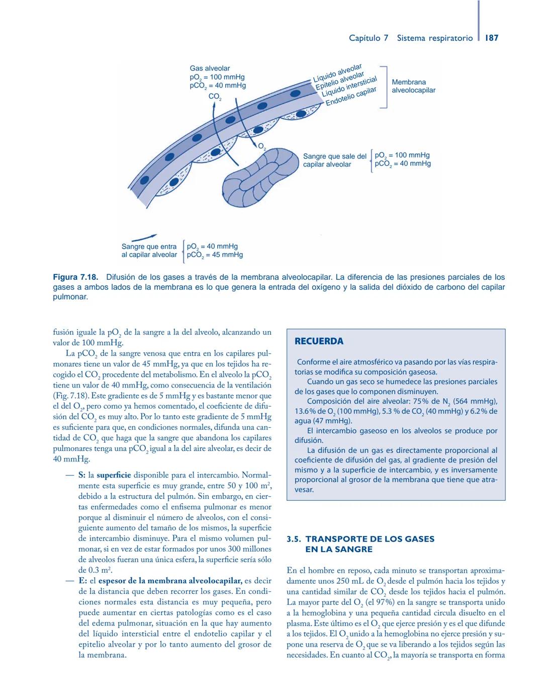# Anatomía y fisiología del

## ■ CUERPO HUMANO

Jesús A. F. Tresguerres

Mª Ángeles Villanúa Bernués

Asunción López-Calderón Barreda

Mc
G