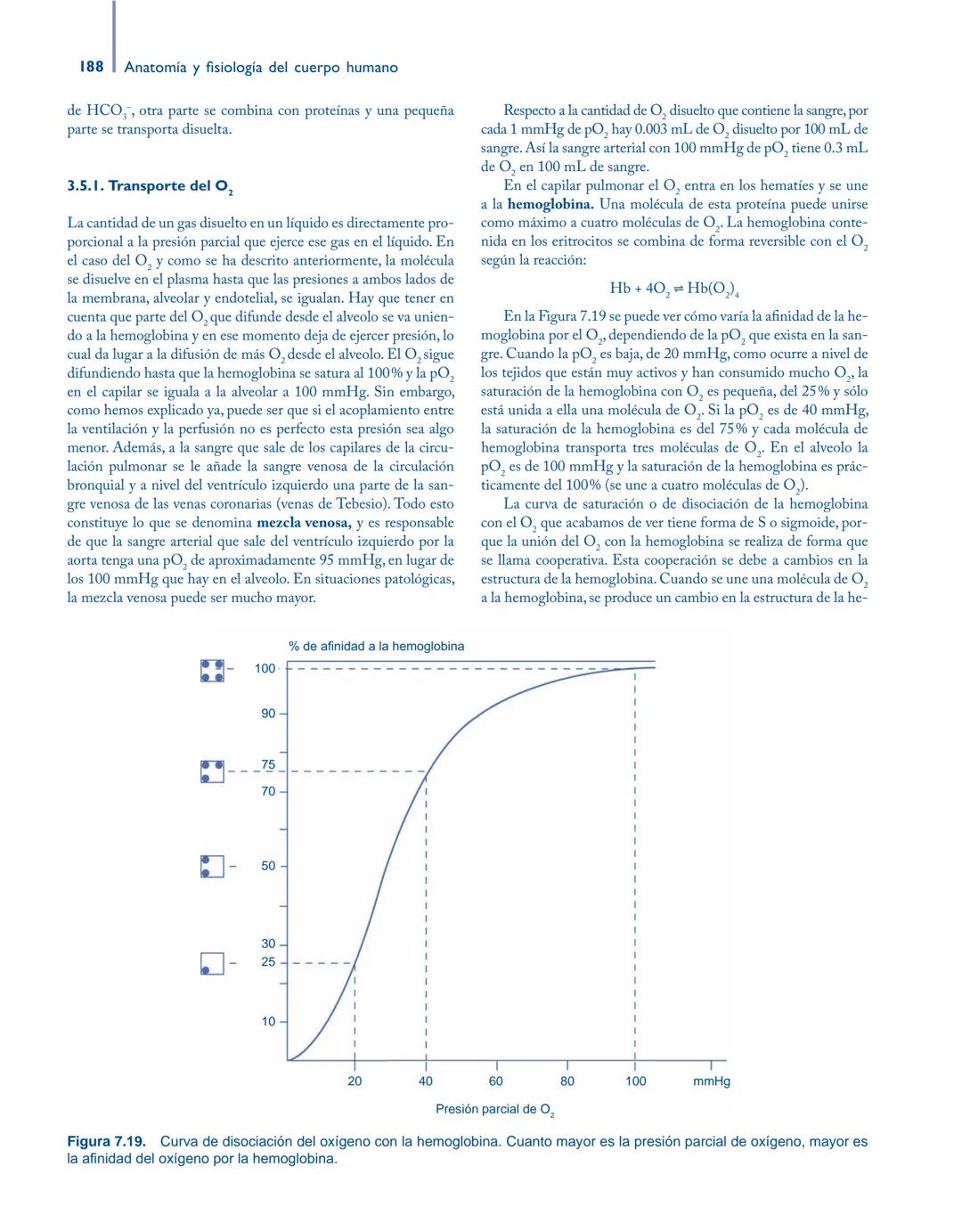 # Anatomía y fisiología del

## ■ CUERPO HUMANO

Jesús A. F. Tresguerres

Mª Ángeles Villanúa Bernués

Asunción López-Calderón Barreda

Mc
G