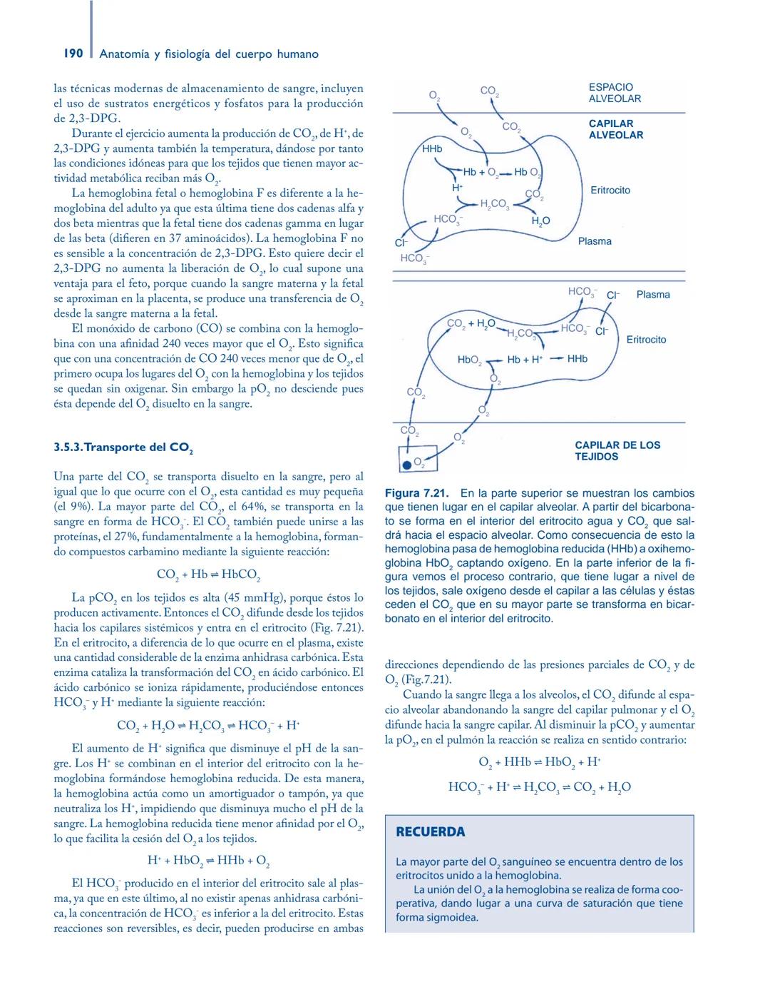 # Anatomía y fisiología del

## ■ CUERPO HUMANO

Jesús A. F. Tresguerres

Mª Ángeles Villanúa Bernués

Asunción López-Calderón Barreda

Mc
G