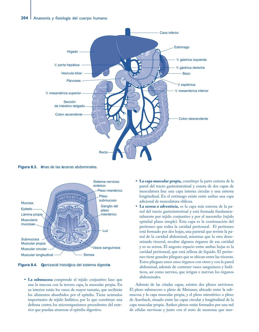 # Anatomía y fisiología del

## ■ CUERPO HUMANO

Jesús A. F. Tresguerres

Mª Ángeles Villanúa Bernués

Asunción López-Calderón Barreda

Mc
G