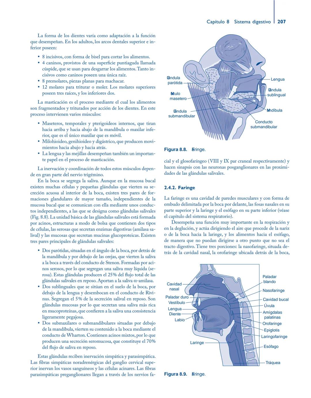 # Anatomía y fisiología del

## ■ CUERPO HUMANO

Jesús A. F. Tresguerres

Mª Ángeles Villanúa Bernués

Asunción López-Calderón Barreda

Mc
G