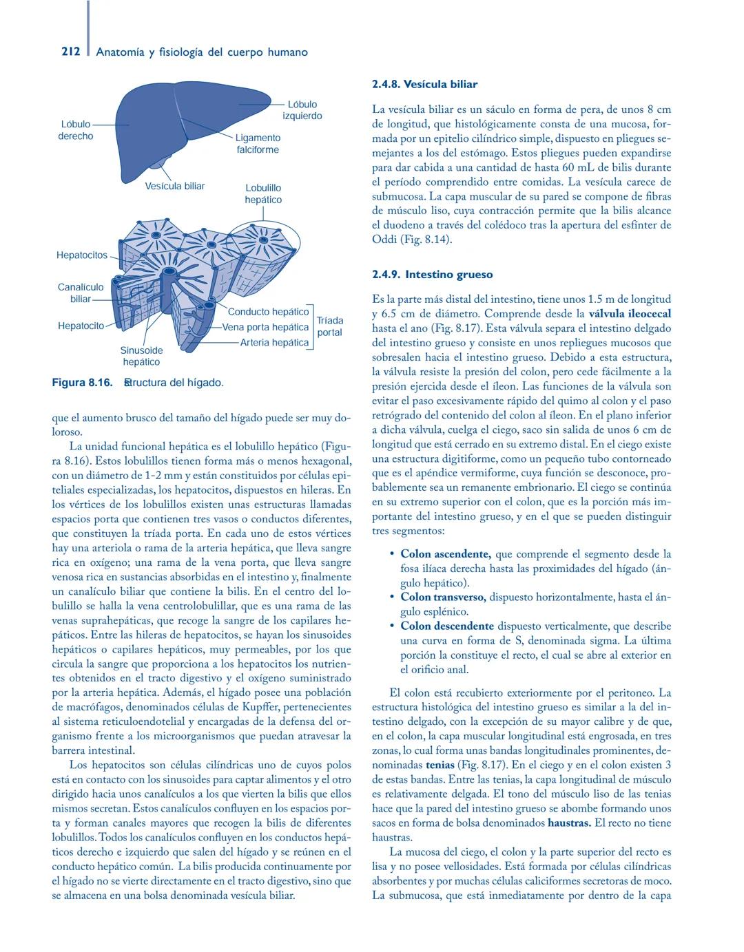 # Anatomía y fisiología del

## ■ CUERPO HUMANO

Jesús A. F. Tresguerres

Mª Ángeles Villanúa Bernués

Asunción López-Calderón Barreda

Mc
G
