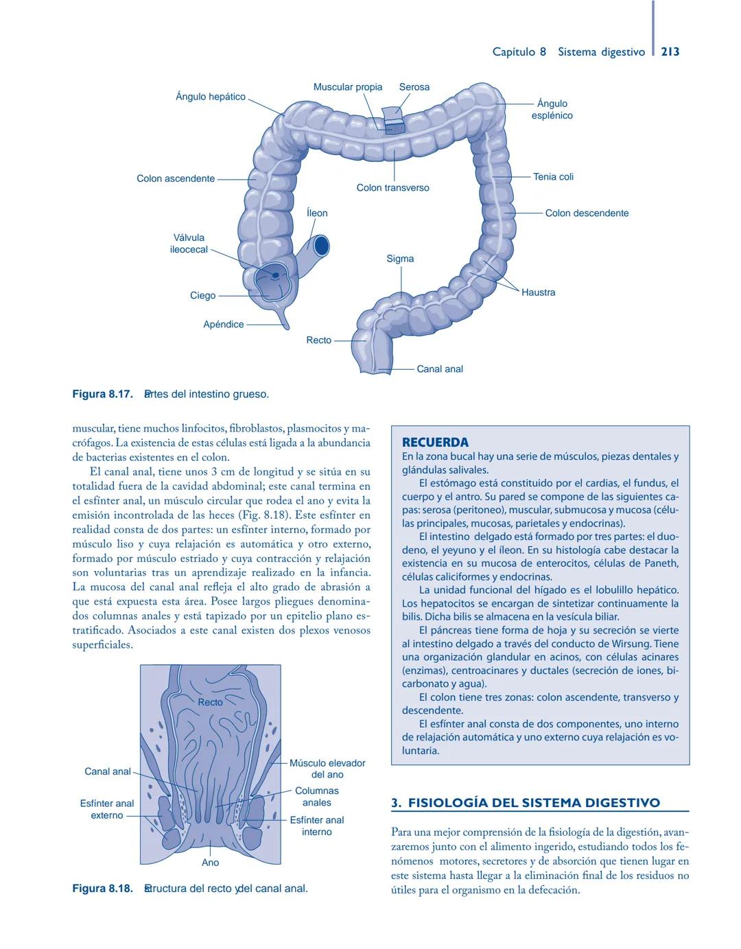 # Anatomía y fisiología del

## ■ CUERPO HUMANO

Jesús A. F. Tresguerres

Mª Ángeles Villanúa Bernués

Asunción López-Calderón Barreda

Mc
G