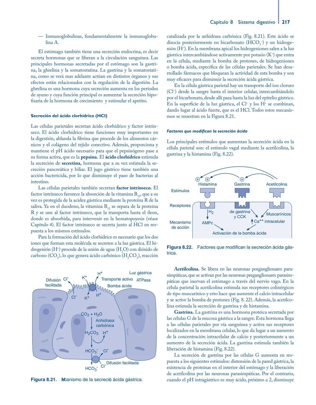 # Anatomía y fisiología del

## ■ CUERPO HUMANO

Jesús A. F. Tresguerres

Mª Ángeles Villanúa Bernués

Asunción López-Calderón Barreda

Mc
G