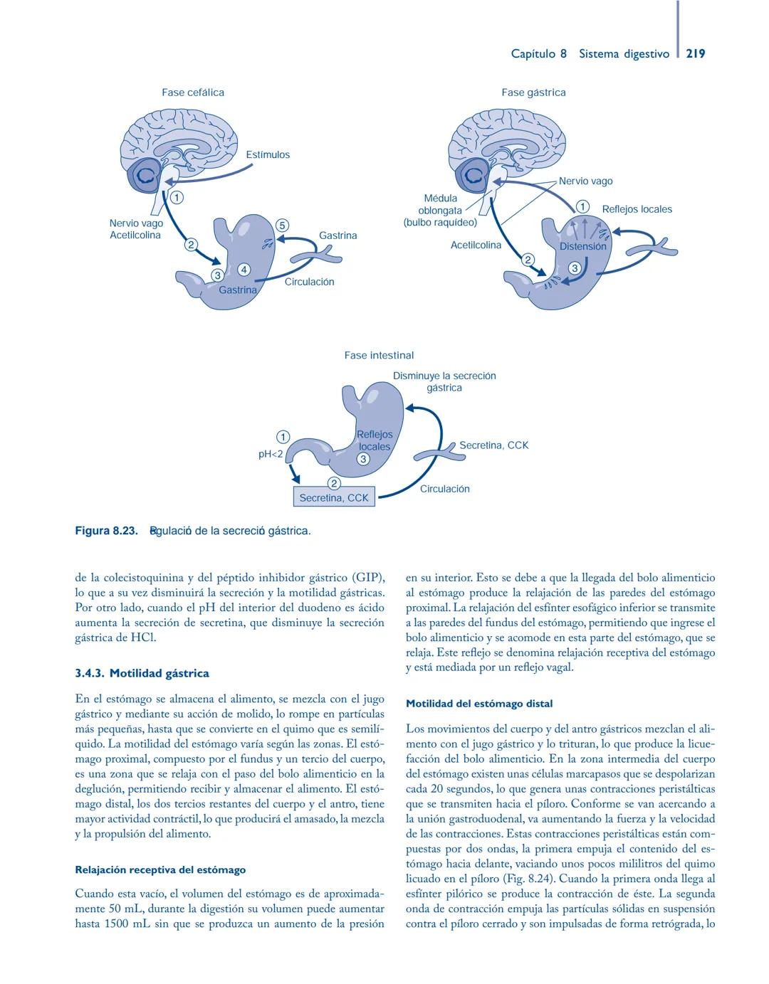# Anatomía y fisiología del

## ■ CUERPO HUMANO

Jesús A. F. Tresguerres

Mª Ángeles Villanúa Bernués

Asunción López-Calderón Barreda

Mc
G