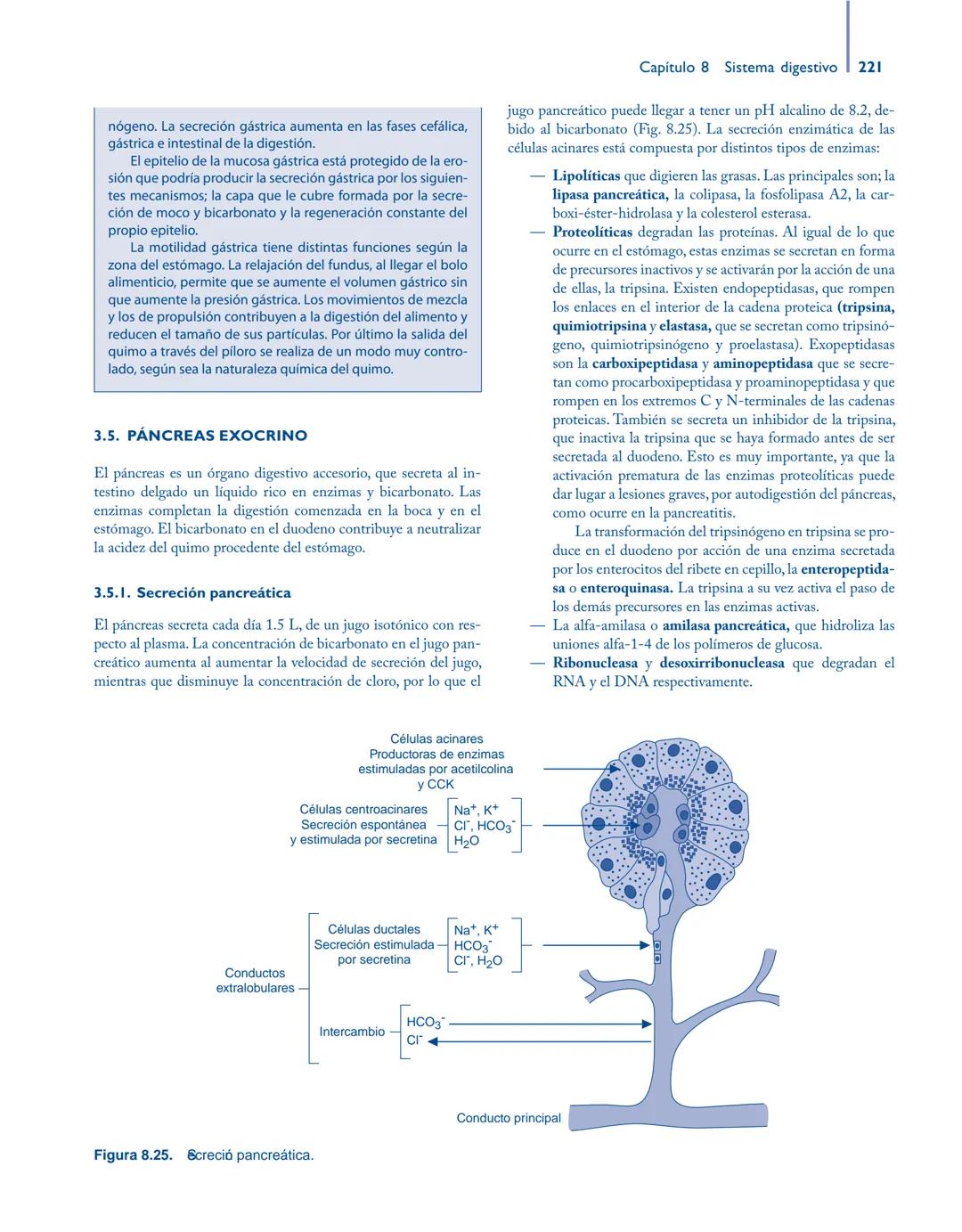 # Anatomía y fisiología del

## ■ CUERPO HUMANO

Jesús A. F. Tresguerres

Mª Ángeles Villanúa Bernués

Asunción López-Calderón Barreda

Mc
G
