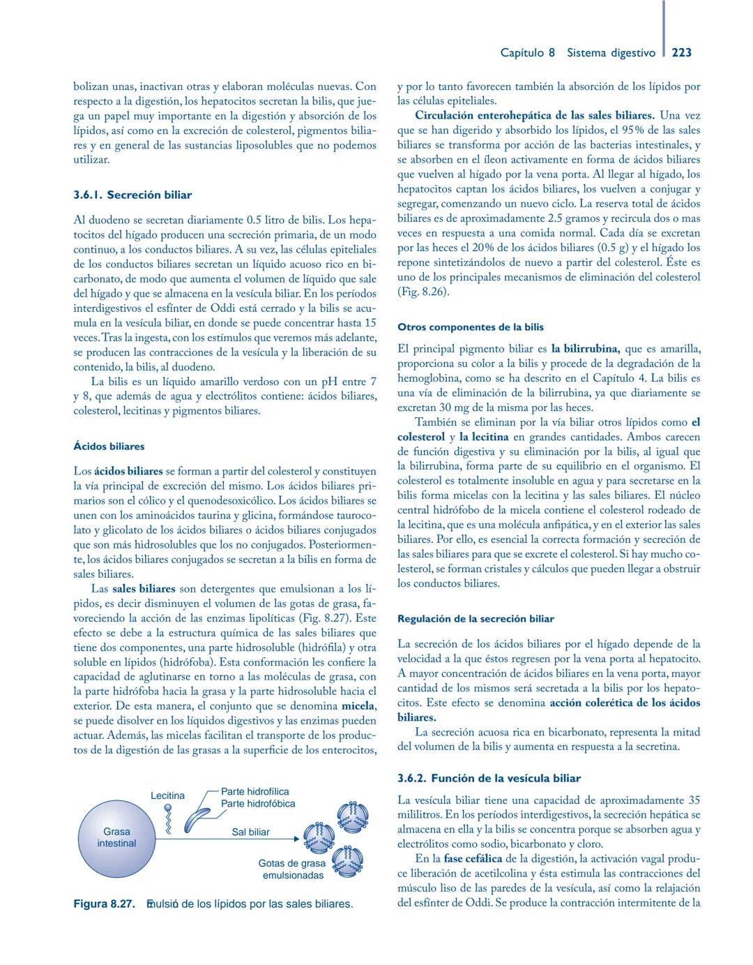 # Anatomía y fisiología del

## ■ CUERPO HUMANO

Jesús A. F. Tresguerres

Mª Ángeles Villanúa Bernués

Asunción López-Calderón Barreda

Mc
G